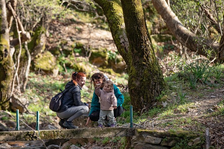Hike to Alama falls