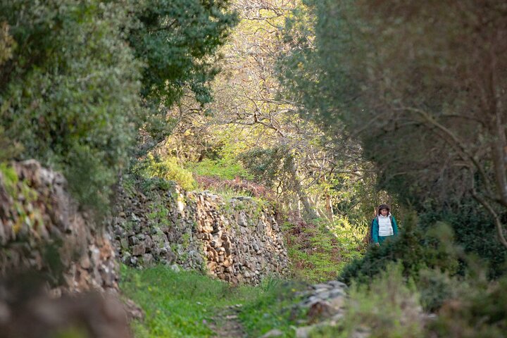 Hike to Alama falls