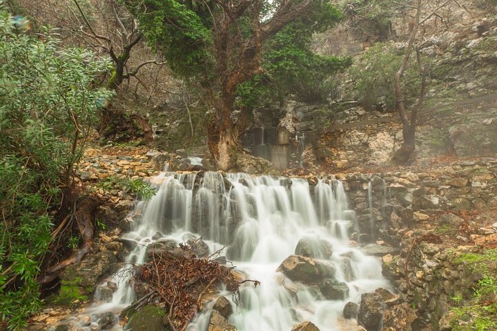 Hike to Alama falls