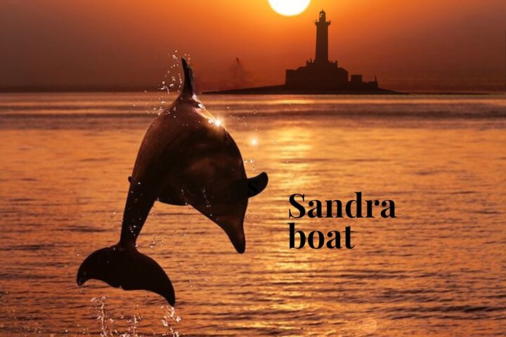 3Hour ALL-INCLUSIVE Sunset Dolphin Watching from Medulin onSandra