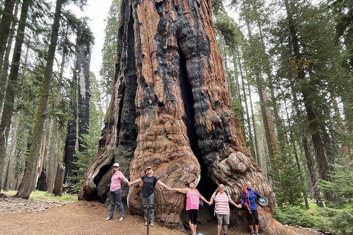 Transformative Sequoia Day Hike