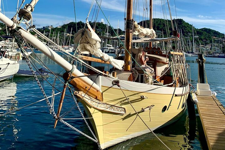 4-hour snorkel cruise to Underwater Sculptures with boat dogs