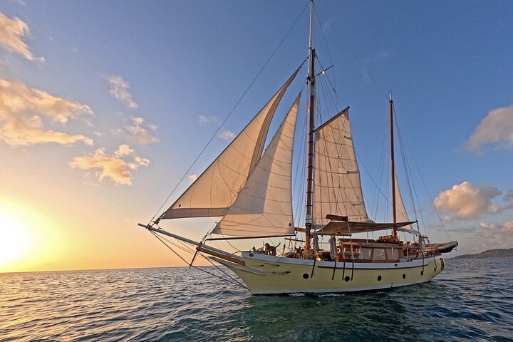 4-hour snorkel cruise to Underwater Sculptures with boat dogs