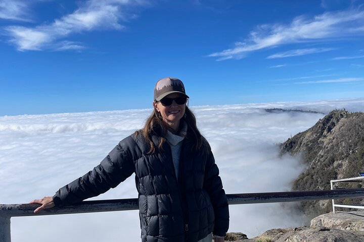 Transformative Sequoia Day Hike