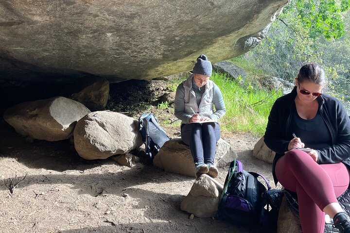 Transformative Sequoia Day Hike