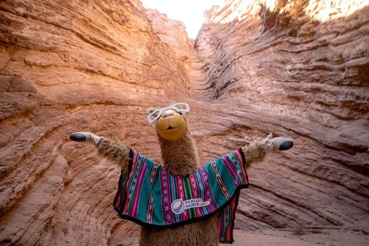 Tour to Cafayate from Salta