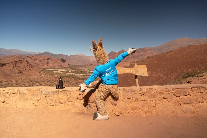 Tour to Cafayate from Salta