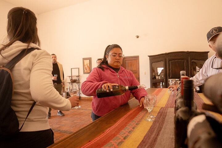 Tour to Cafayate from Salta