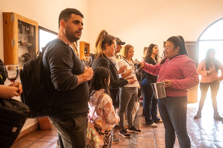 Tour to Cafayate from Salta