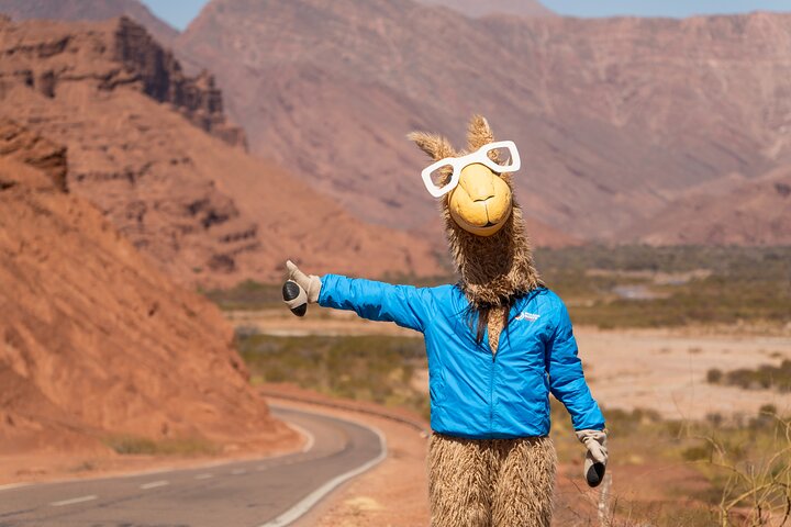 Tour to Cafayate from Salta