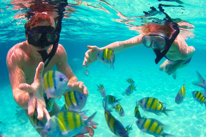 Cartagena's Rosario Islands 5-Site Boat Tour with Lunch & Snorkel