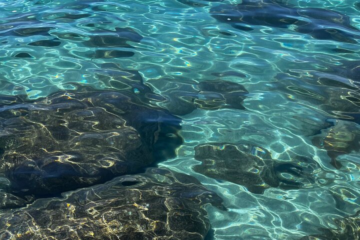 Lake Tahoe Clear Kayak Tour at Sand Harbor with Small Groups