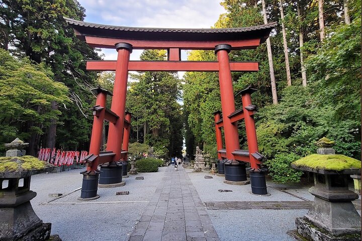 Hakone Private Car Sightseeing Tour