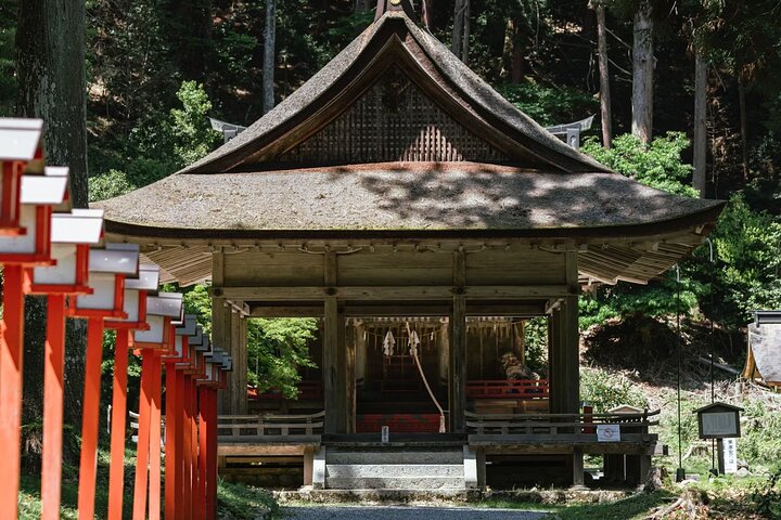 Hakone Private Car Sightseeing Tour