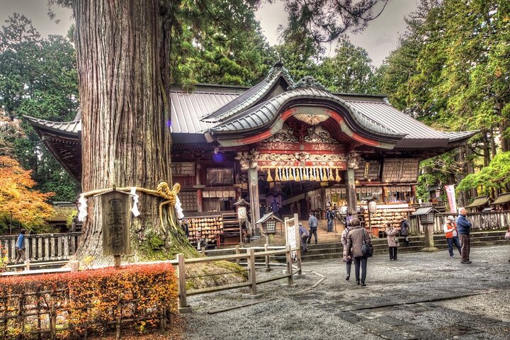 Hakone Private Car Sightseeing Tour