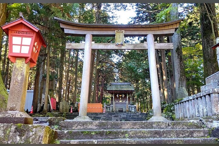 Hakone Private Car Sightseeing Tour