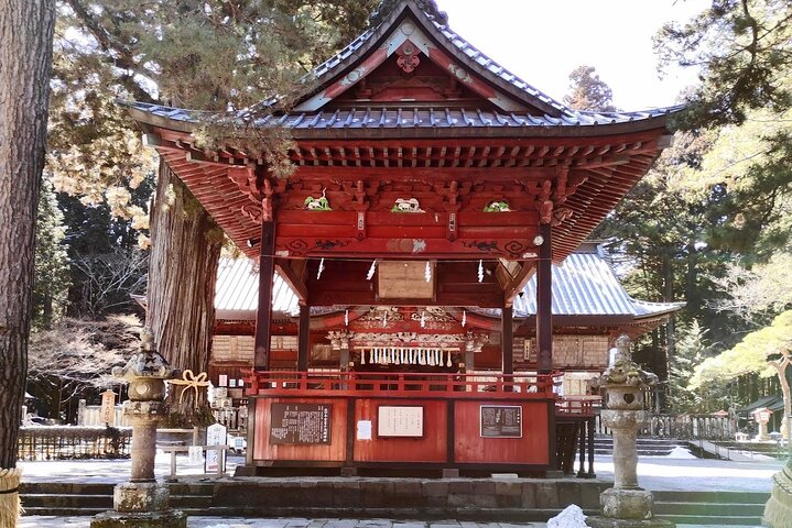 Hakone Private Car Sightseeing Tour
