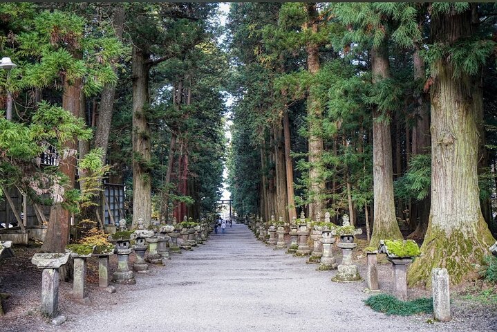 Hakone Private Car Sightseeing Tour