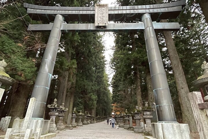 Hakone Private Car Sightseeing Tour