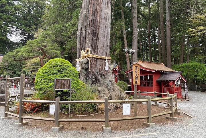 Hakone Private Car Sightseeing Tour