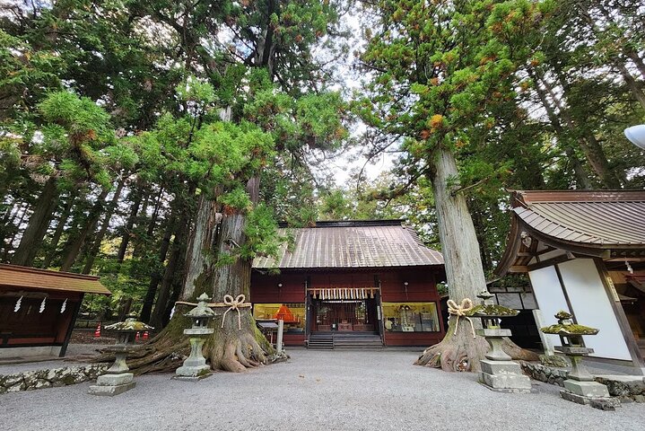 Hakone Private Car Sightseeing Tour