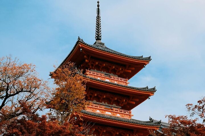 Hakone Private Car Sightseeing Tour