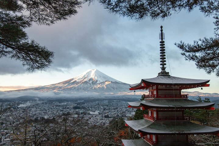 Hakone Private Car Sightseeing Tour