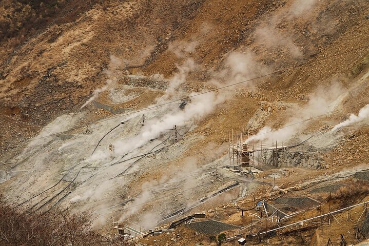 Hakone Private Car Sightseeing Tour
