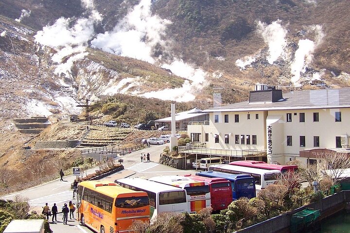 Hakone Private Car Sightseeing Tour