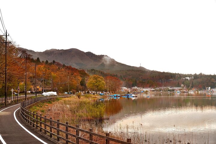 Hakone Private Car Sightseeing Tour