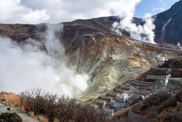 Hakone Private Car Sightseeing Tour
