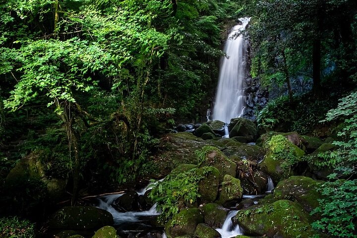 Hakone Private Car Sightseeing Tour
