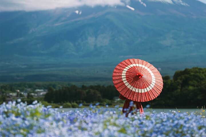 Hakone Private Car Sightseeing Tour