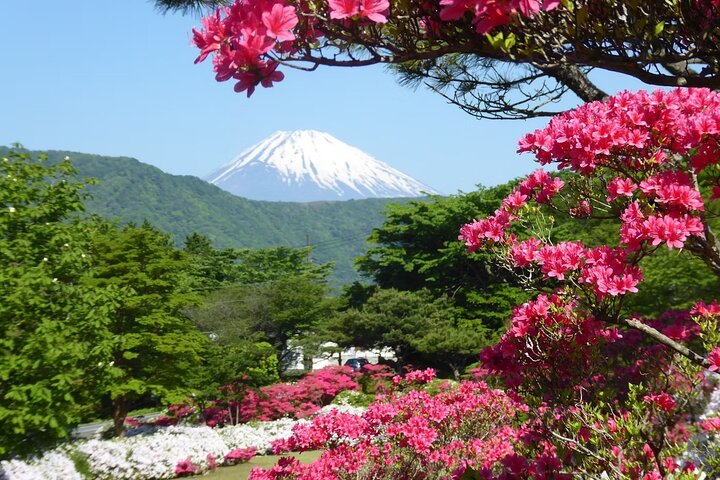 Hakone Private Car Sightseeing Tour