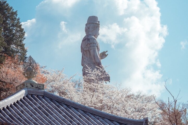 Discover the Timeless Charm and Natural Beauty of Nara