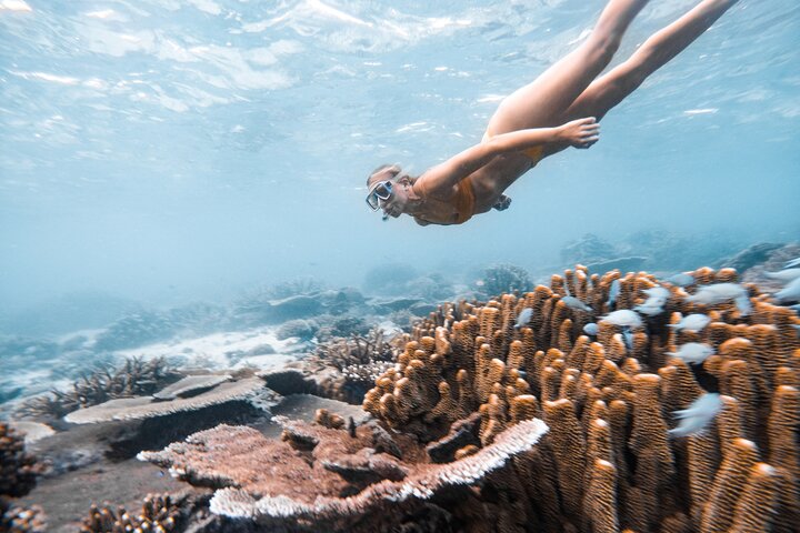 Fiji’s Ultimate Snorkelling Trip - Ride & Slide