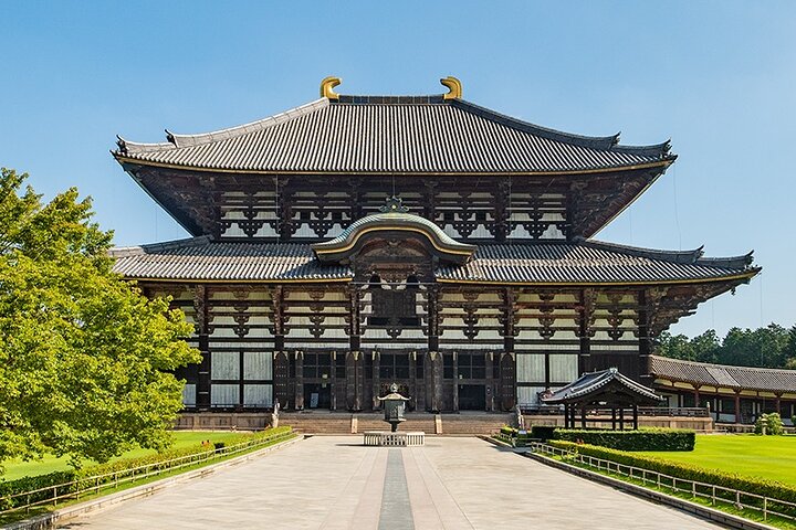 Discover the Timeless Charm and Natural Beauty of Nara