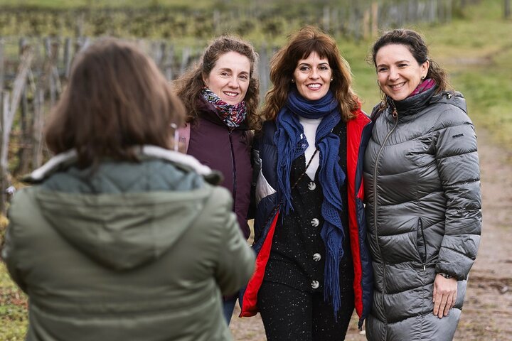 Saint-Émilion & Pomerol Wine Tour: Tastings, Lunch & WSET Guide