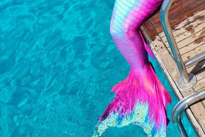 The Mermaid Cruise by Medusa Cruises – 2:30-Hour Family Adventure