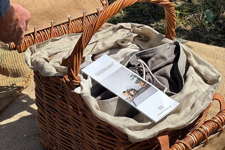 Picnic among the Olive Trees and Tasting of Oil and Local Flavors