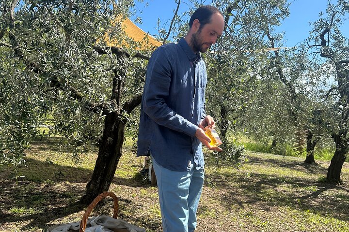 Picnic among the Olive Trees and Tasting of Oil and Local Flavors