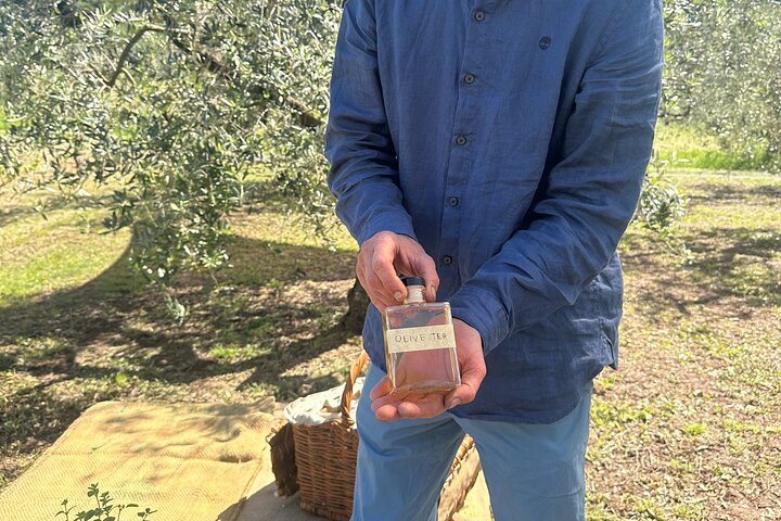 Picnic among the Olive Trees and Tasting of Oil and Local Flavors