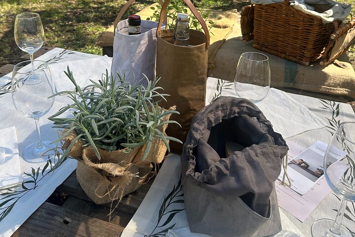 Picnic among the Olive Trees and Tasting of Oil and Local Flavors