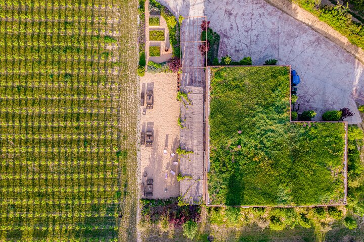 Horse Riding and Wine Tasting Experience