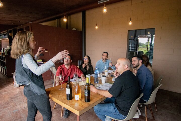 Horse Riding and Wine Tasting Experience