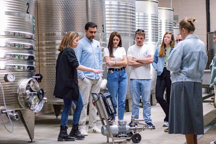 Horse Riding and Wine Tasting Experience