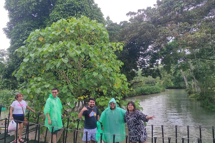 Alto Mayo Full Day Tour from Tarapoto