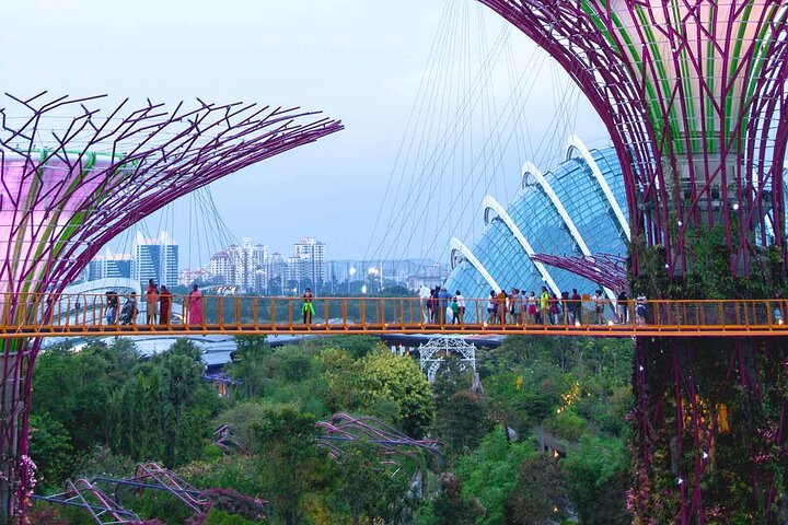 Singapore OCBC Skyway Flower dome Cloud Forest Garden by the Bay