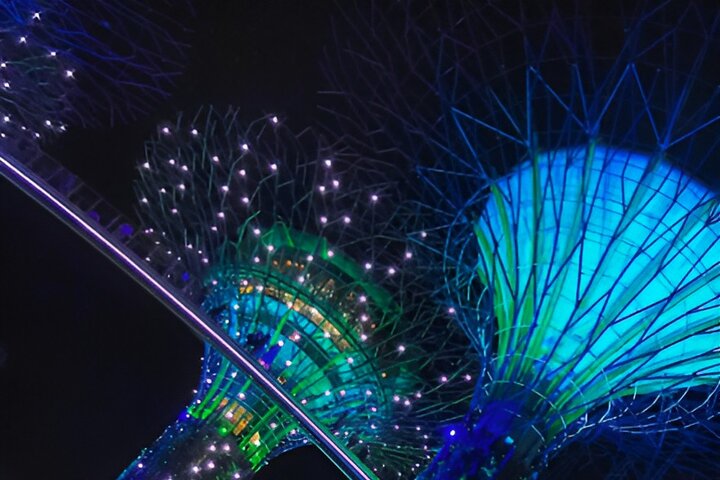 Singapore OCBC Skyway Flower dome Cloud Forest Garden by the Bay