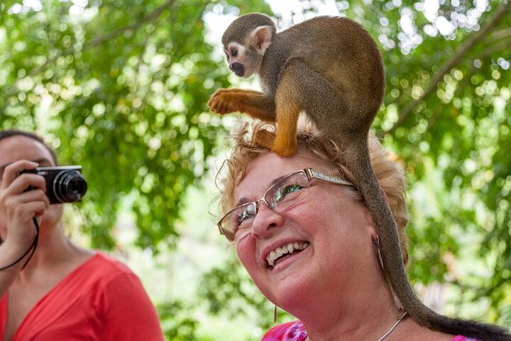 Monkeyland Samana Shared Adventure